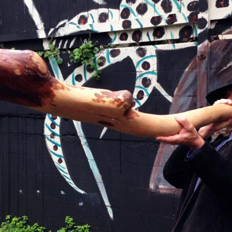 Australian imported musical in - Musical Instrument Didgeridoo 评论和价格