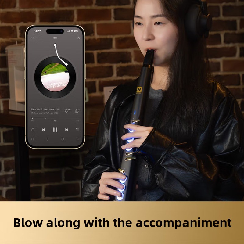 C20 true sampling domestic hig - Musical Instrument That You Blow Into 评论和价格