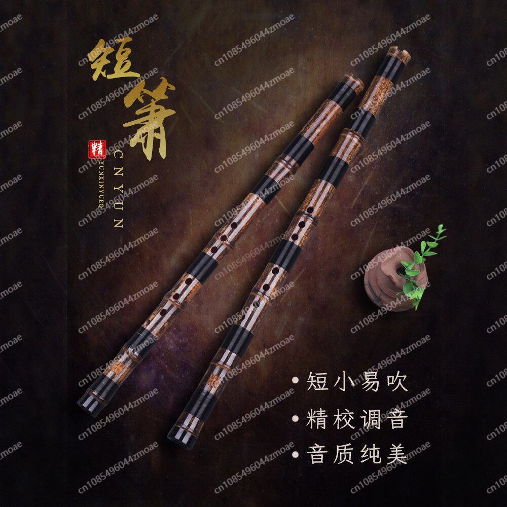 Professional play hole flute o - Musical Instrument That You Blow Into 评论和价格