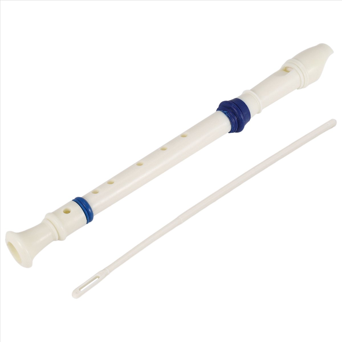 ABST Music Instrument 6 Holes  - Musical Instrument Flute 评论和价格