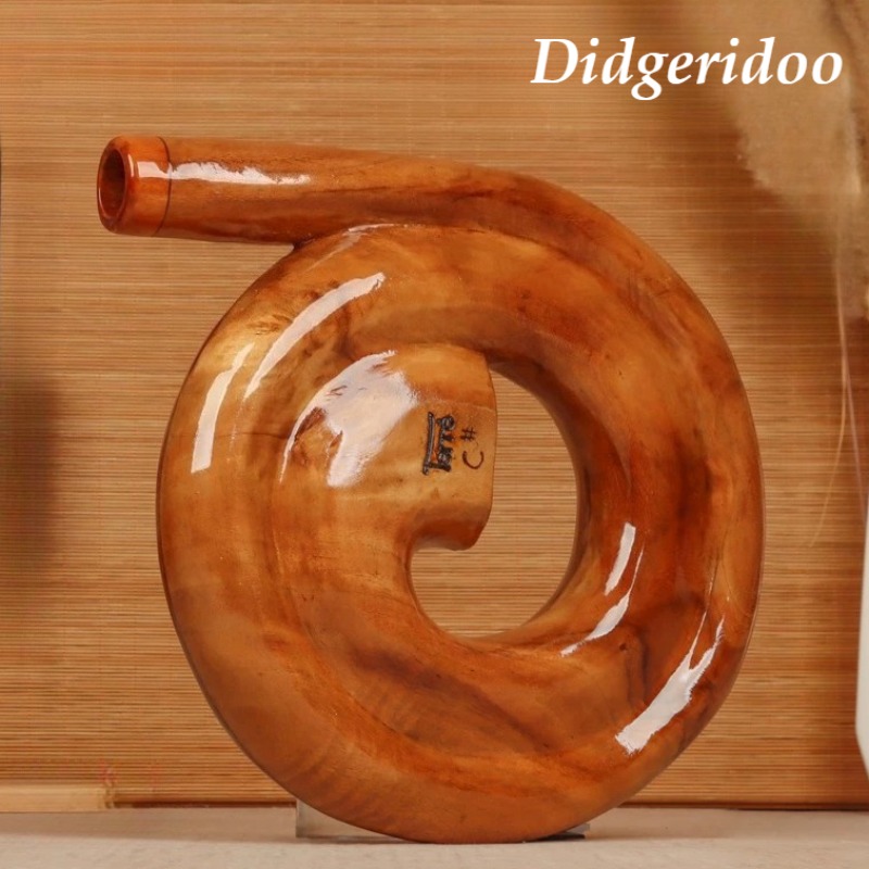 Spiral Didgeridoo Wooden Porta - Musical Instrument Didgeridoo 评论和价格