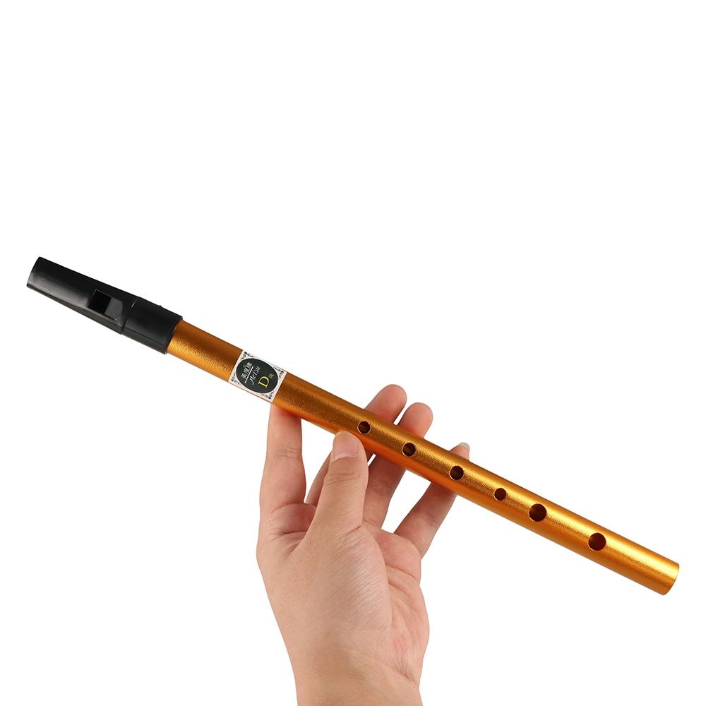 Musical Accessories 6 Hole Iri - Musical Instrument Flute 评论和价格